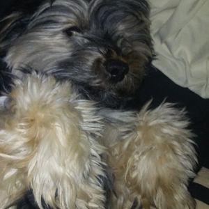 Meet your Posher, Tim